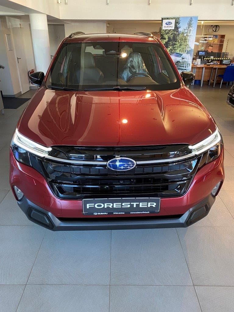 Forester Red 02