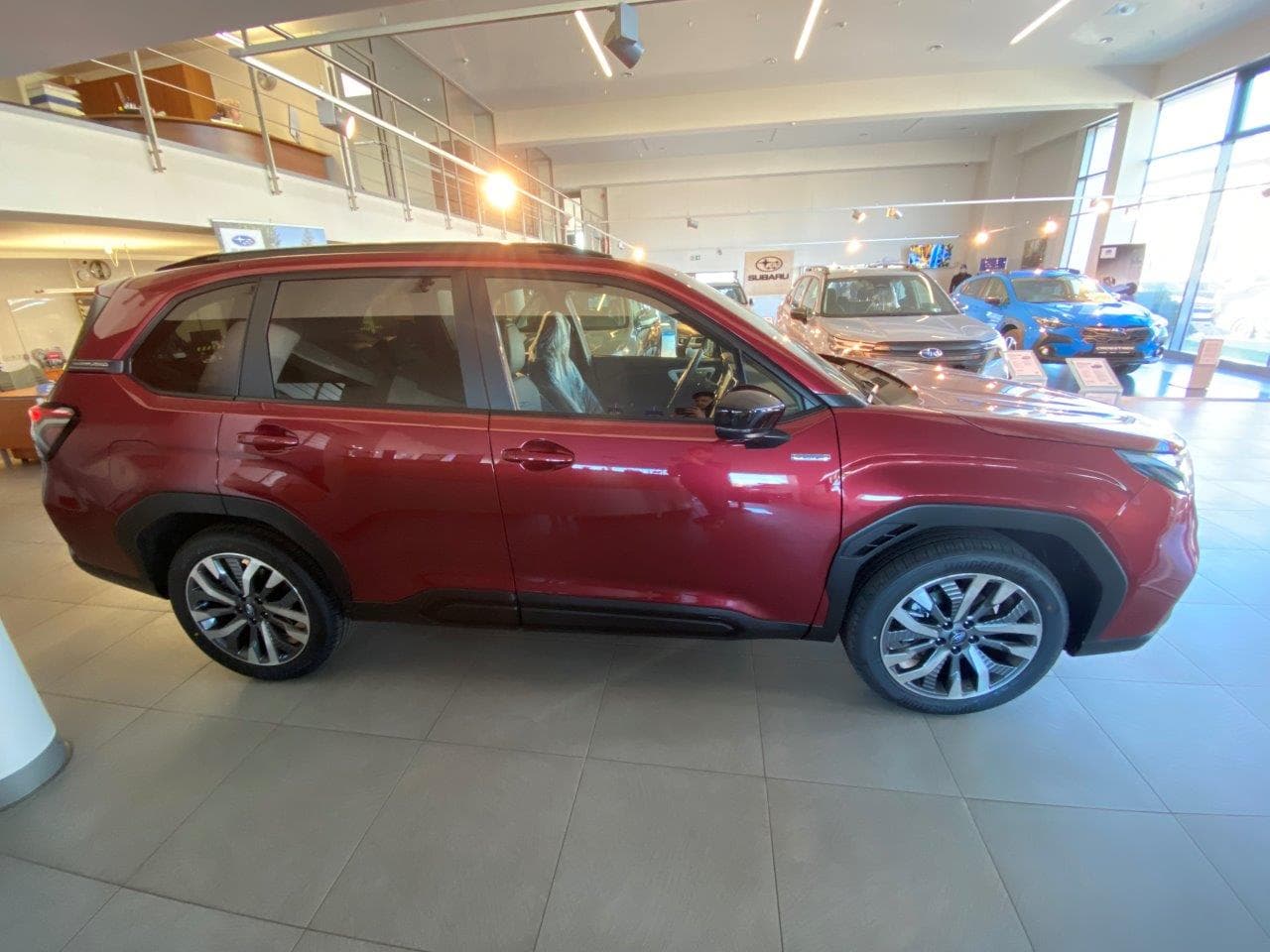 Forester Red 04