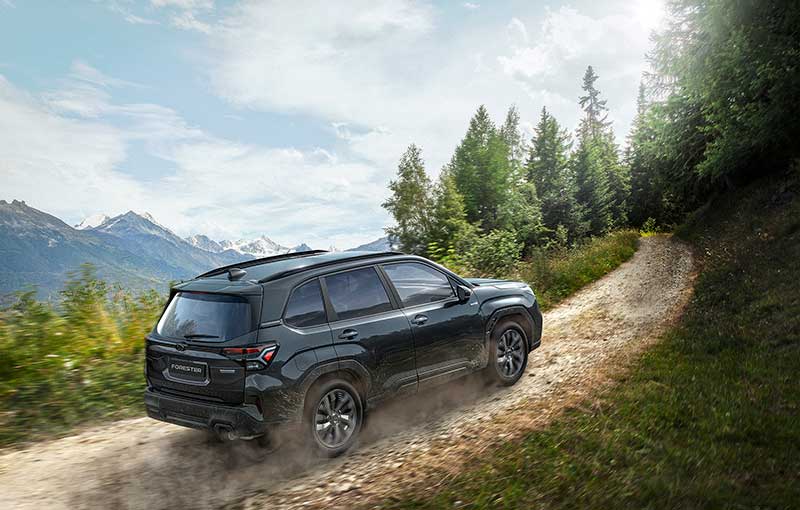 forester vaziuoja i kalniuka