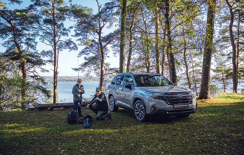 forester miške šeima